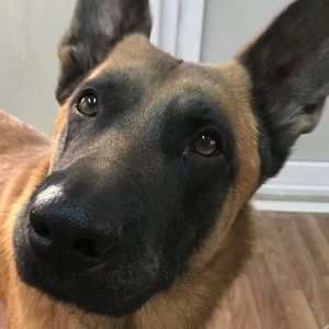 Meet your Posher, Ryann